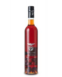 LICOR DE GINJA COM FRUTO BENFICA