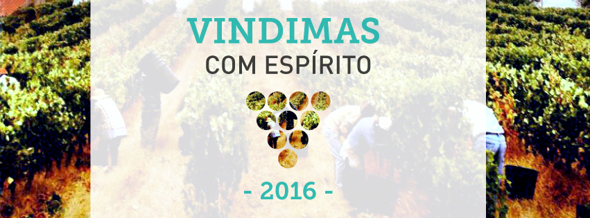 Festa da Vindima 2016